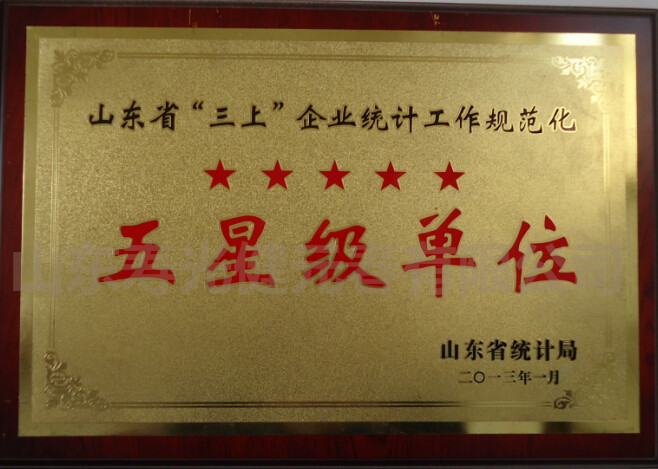 2013年被评为山东省企业统计工作规范化五星级单位